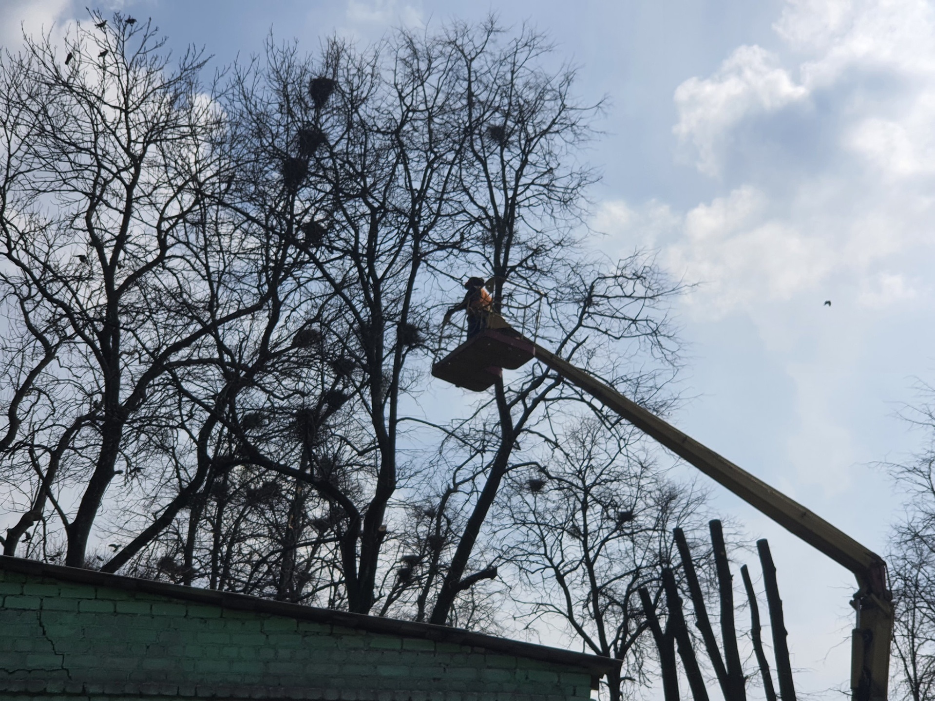 У Новоград-Волинській міській територіальній громаді продовжується весняний благоустрій