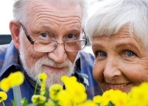 1 жовтня – Міжнародний день людей похилого віку. День ветерана.