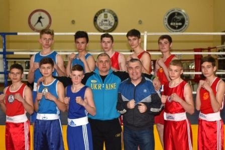 Новоград-волинці прийняли участь у чемпіонаті Житомирської області з боксу
