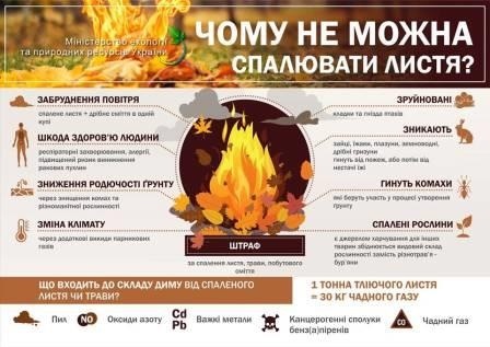 Спалювання листя та сміття на території міста категорично забороняється!