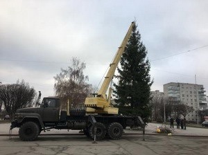 Головну новорічну ялинку Новограда-Волинського вже встановлено на площі Лесі Українки