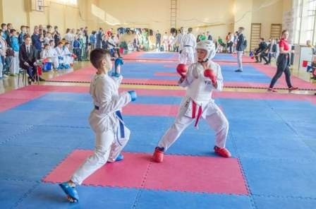 «Чемпіонат Житомирської області з карате»
