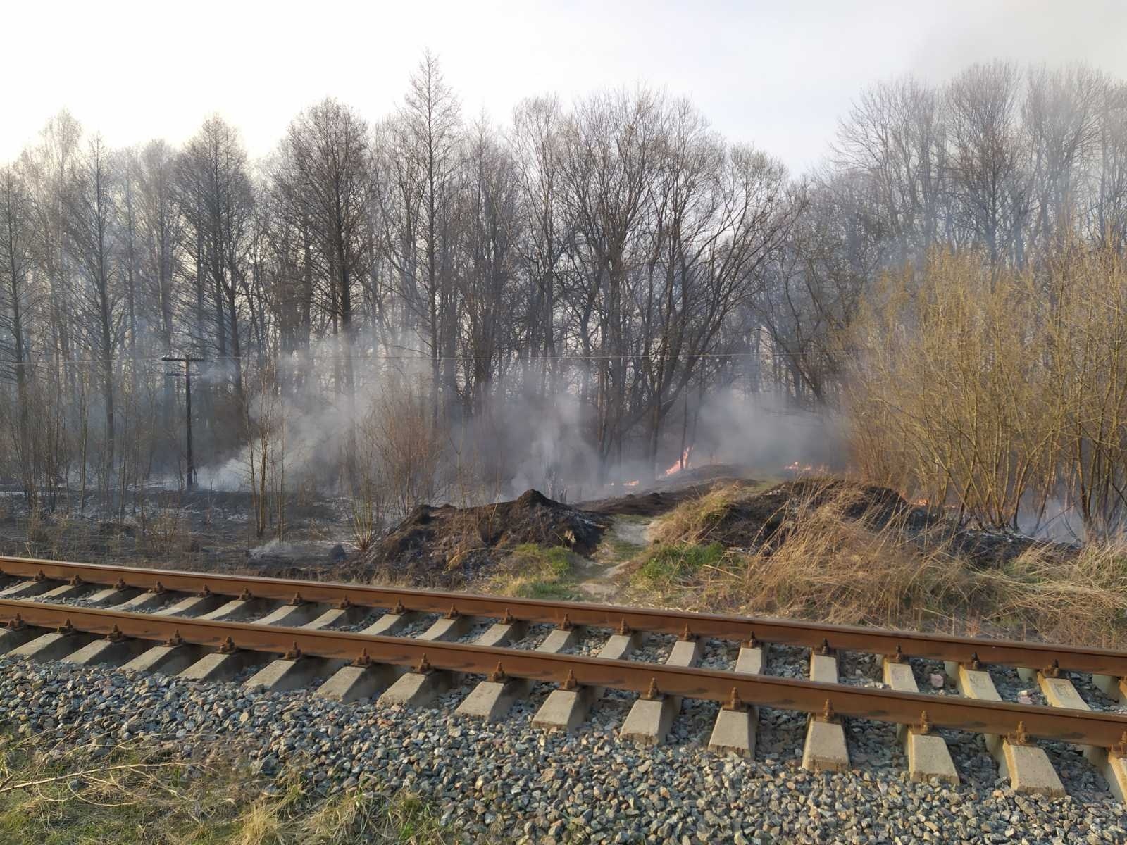 За минулу добу в Новограді-Волинському сталося 3 пожежі