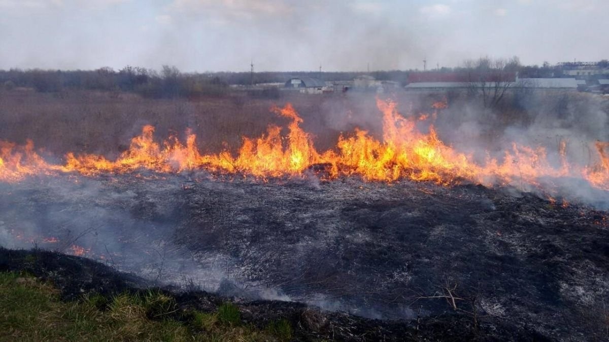 Громадяни продовжують нехтувати забороною спалювання сухої рослинності