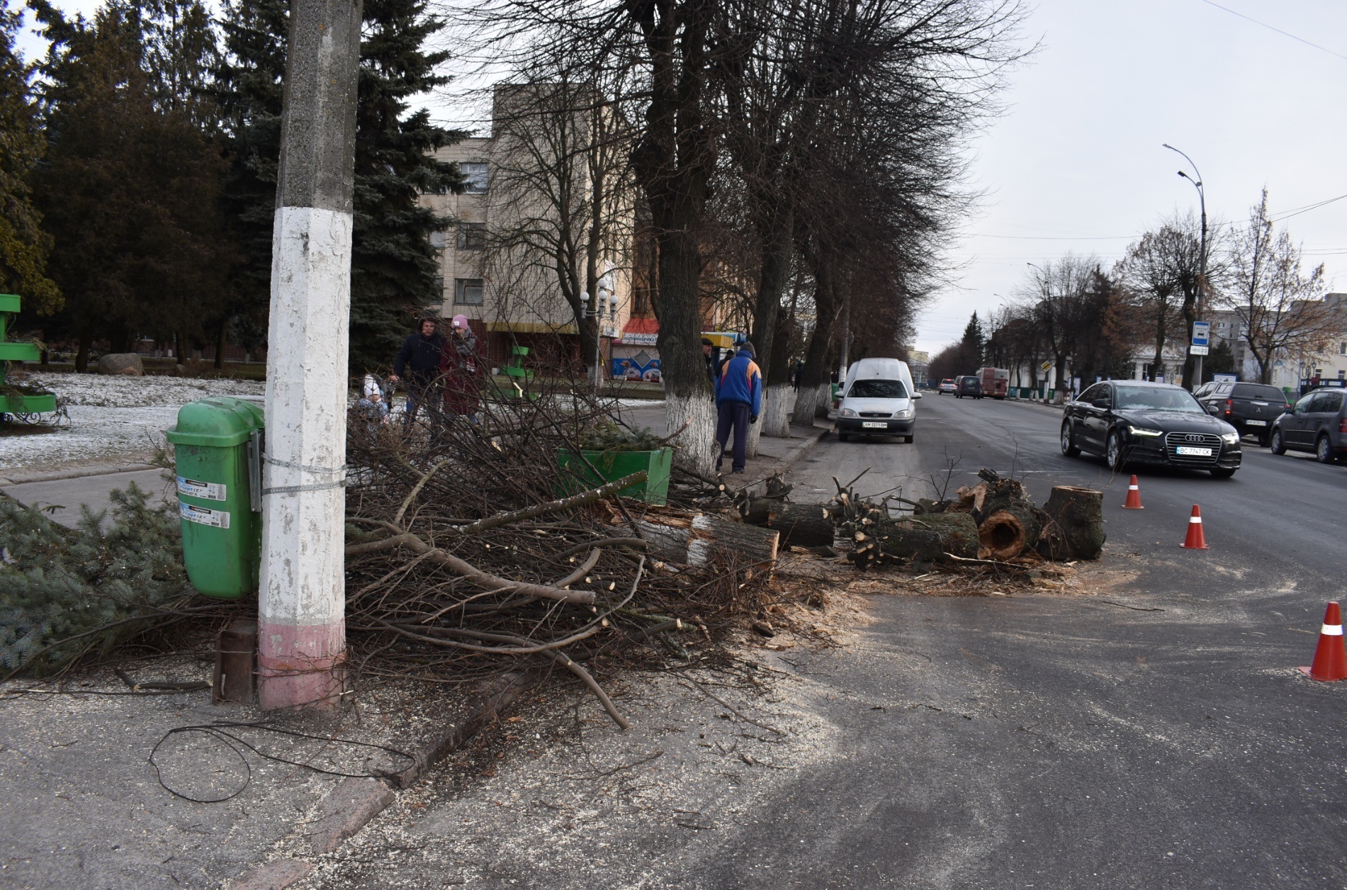На території Новограда-Волинського проводиться зрізання аварійних дерев