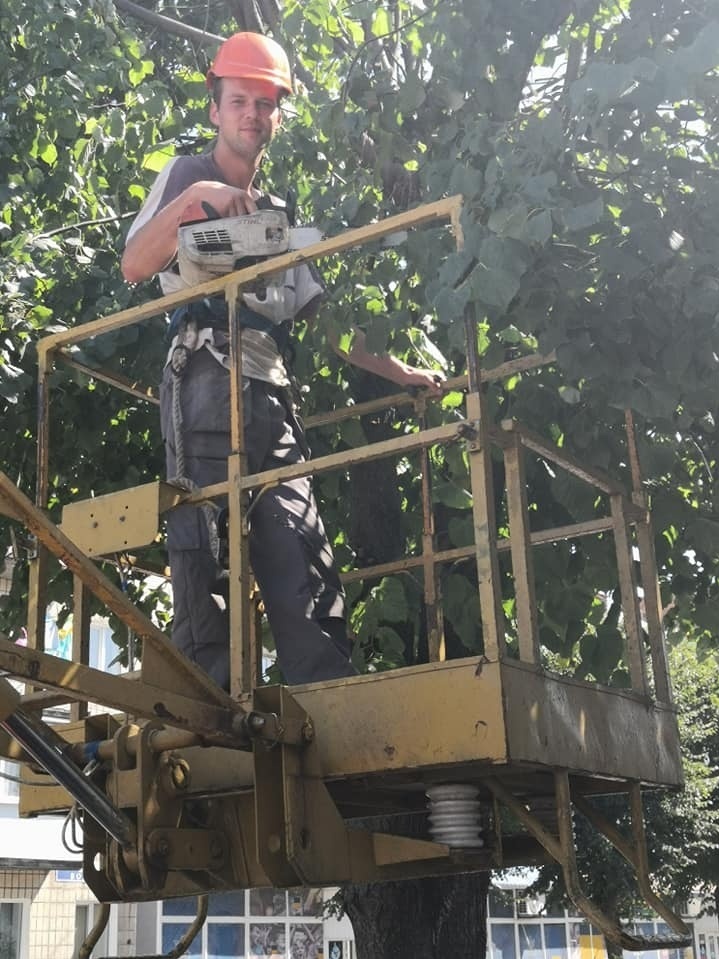 Новоград-Волинський РЕМ проводить обрізання дерев (гілля)