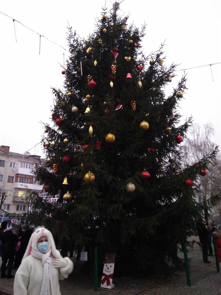 У Новограді-Волинському засяяла головна ялинка міста