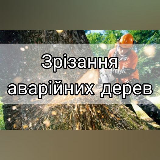 Пропозиція долучитись до зрізання аварійних дерев на території громади благодійно або за символічну плату