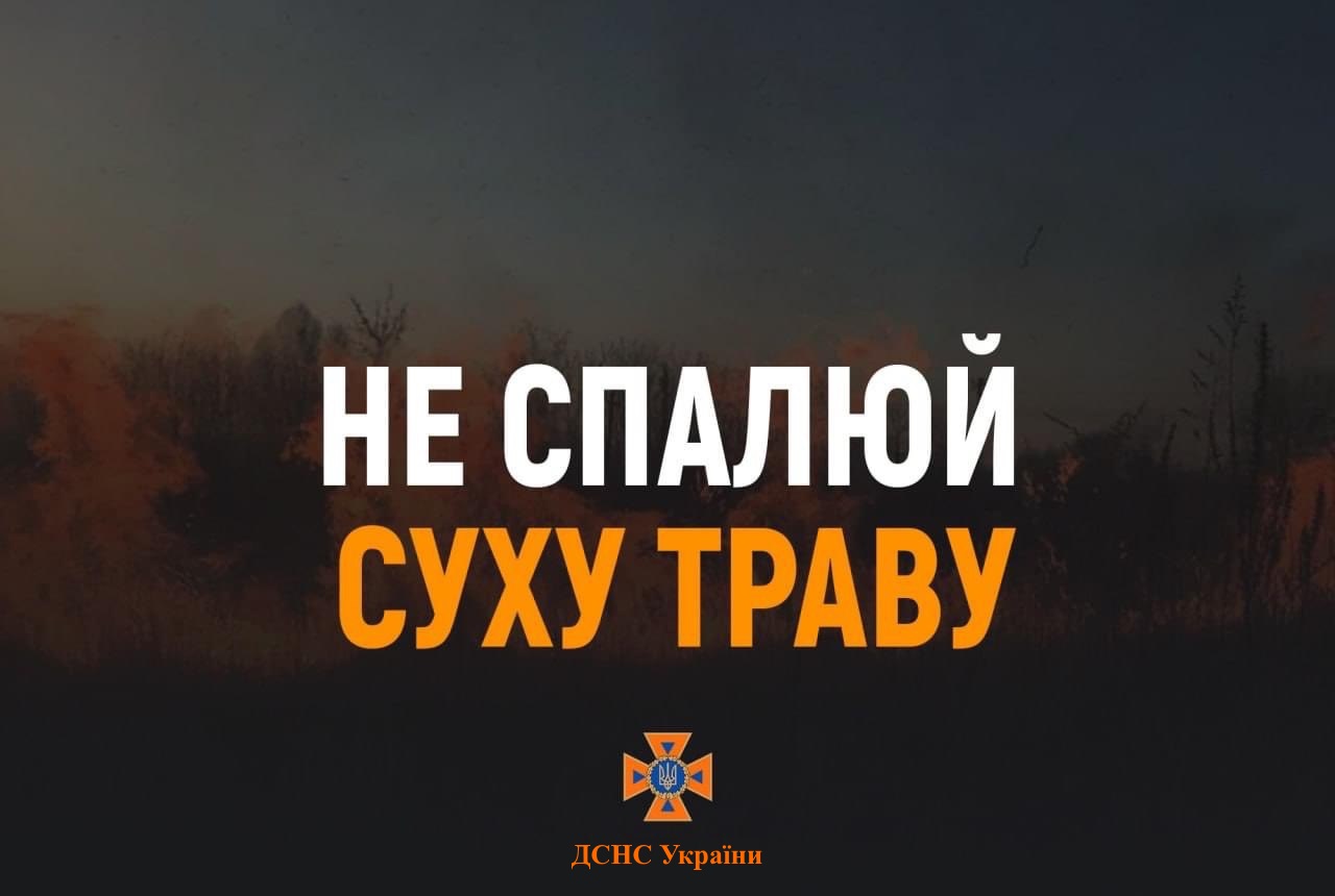 Рятувальники Звягельщини закликають громадян не провокувати пожежі у природних екосистемах