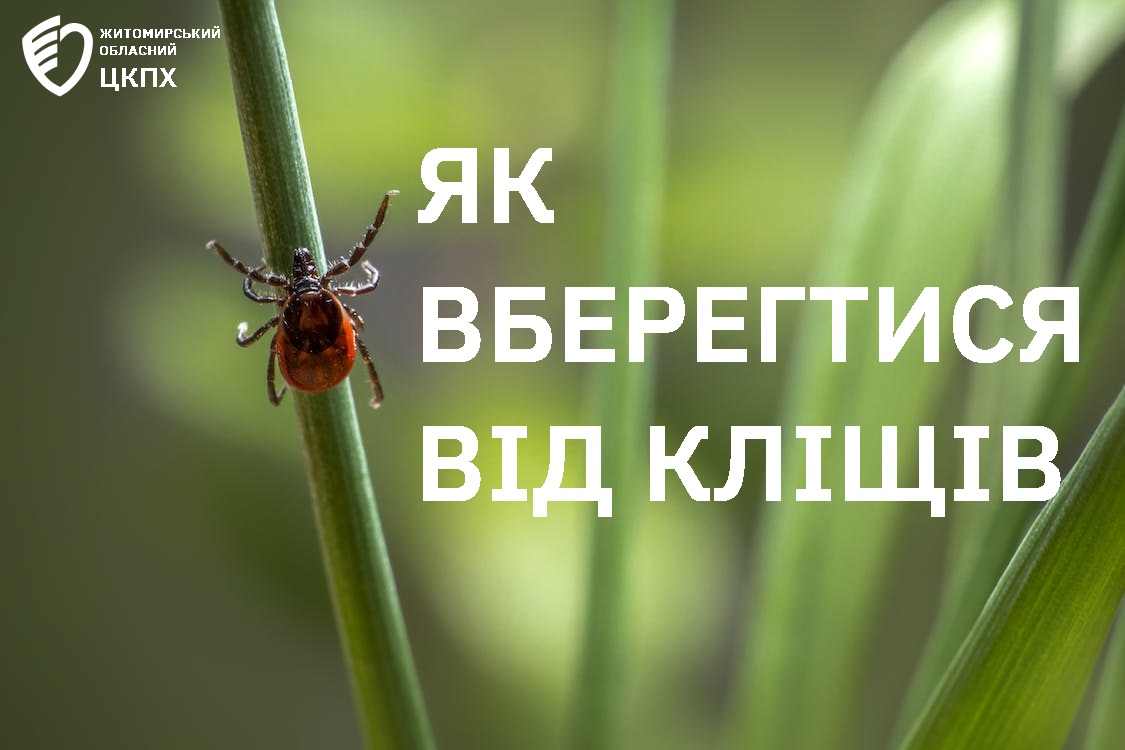 Як вберегтися від кліщів – поради від фахівців