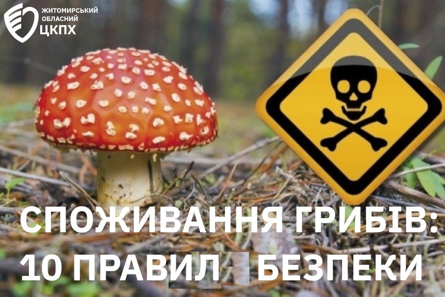 Споживання грибів: 10 правил безпеки