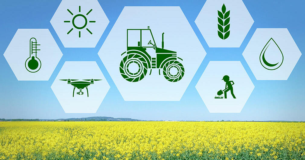 Сільське господарство та аграрний сектор економіки в 2023 році