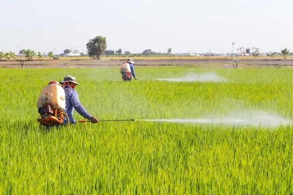 Пам’ятка для населення щодо дотримання вимог санітарного законодавства при застосуванні пестицидів, агрохімікатів та засобів захисту рослин