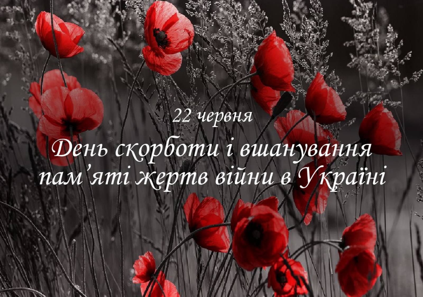 22 червня – День скорботи і вшанування пам’яті жертв війни в Україні