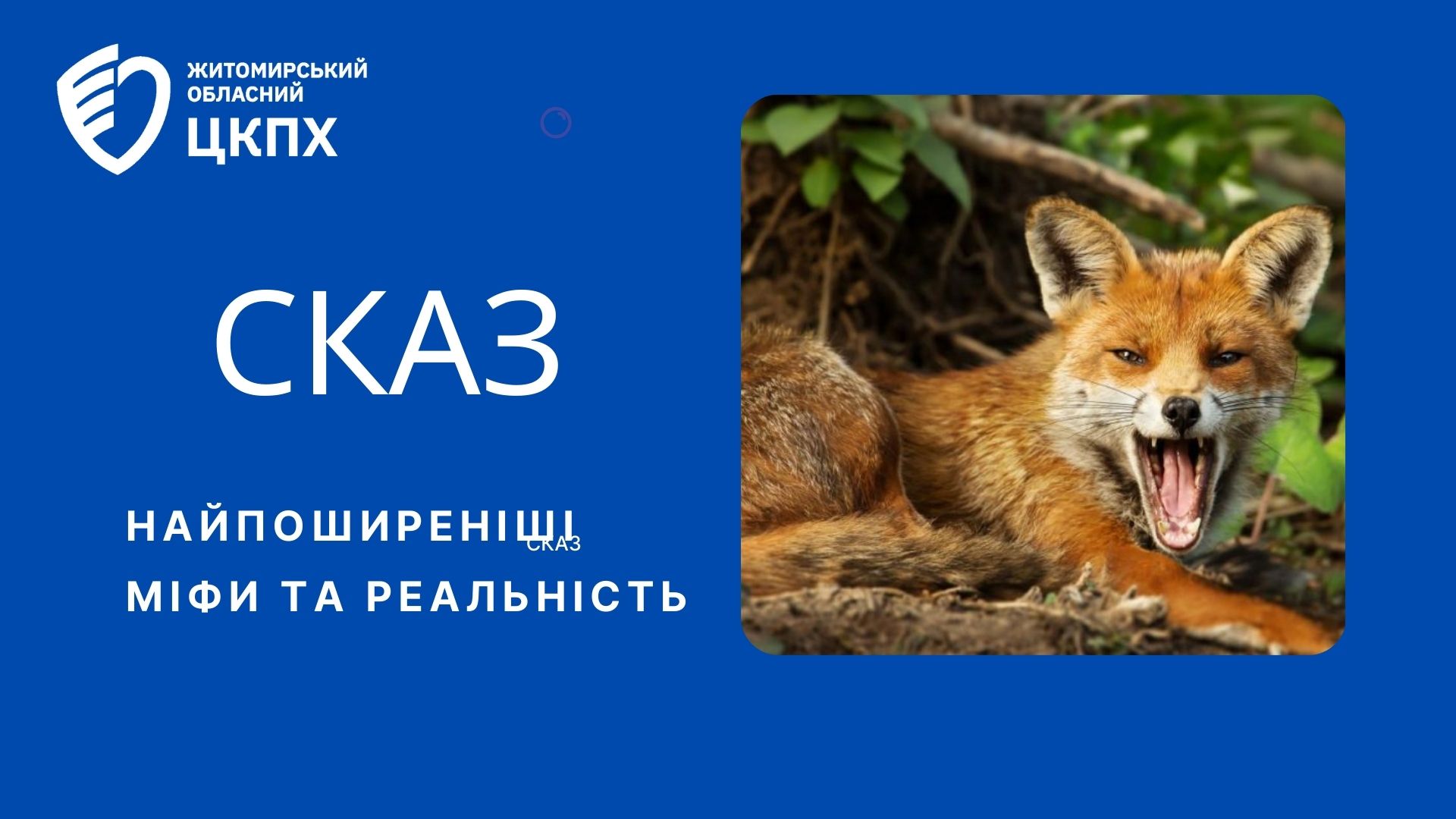 Загадкова хвороба сказ: найпоширеніші міфи та реальність