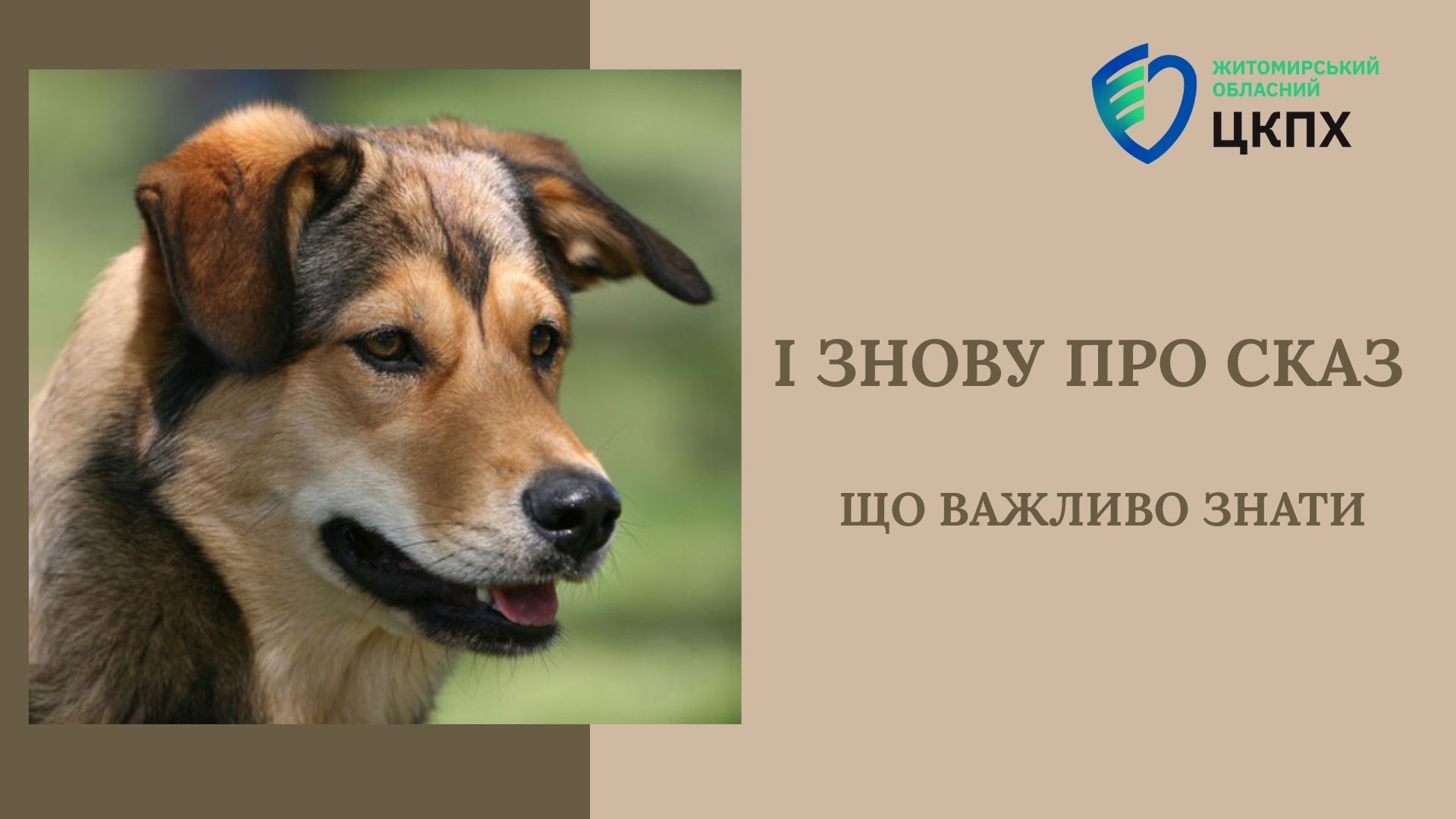 І ЗНОВУ ПРО СКАЗ :  ЩО ВАЖЛИВО ЗНАТИ