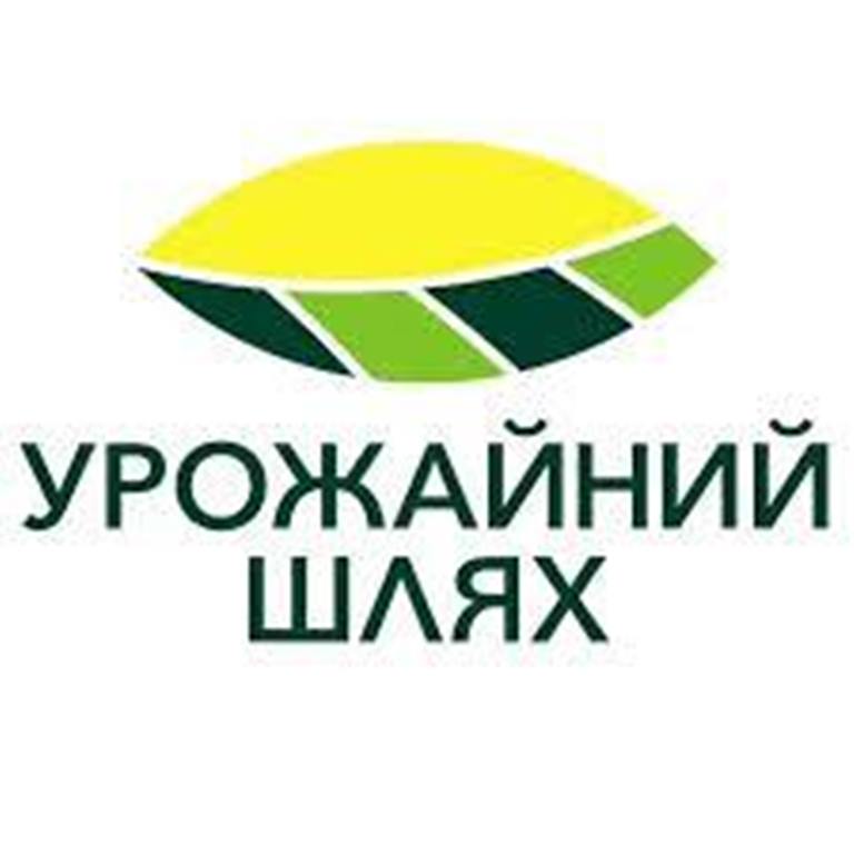 Онлайн-тренінг: як отримати фінансову підтримку для розвитку свого городу