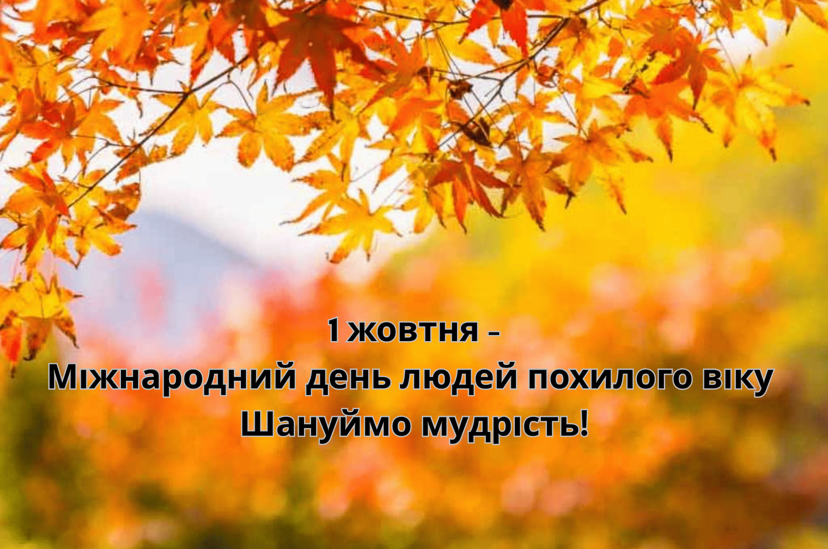 1 жовтня – Міжнародний день людей похилого віку