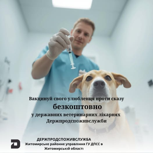 Безкоштовні щеплення від сказу: важлива інформація для власників тварин