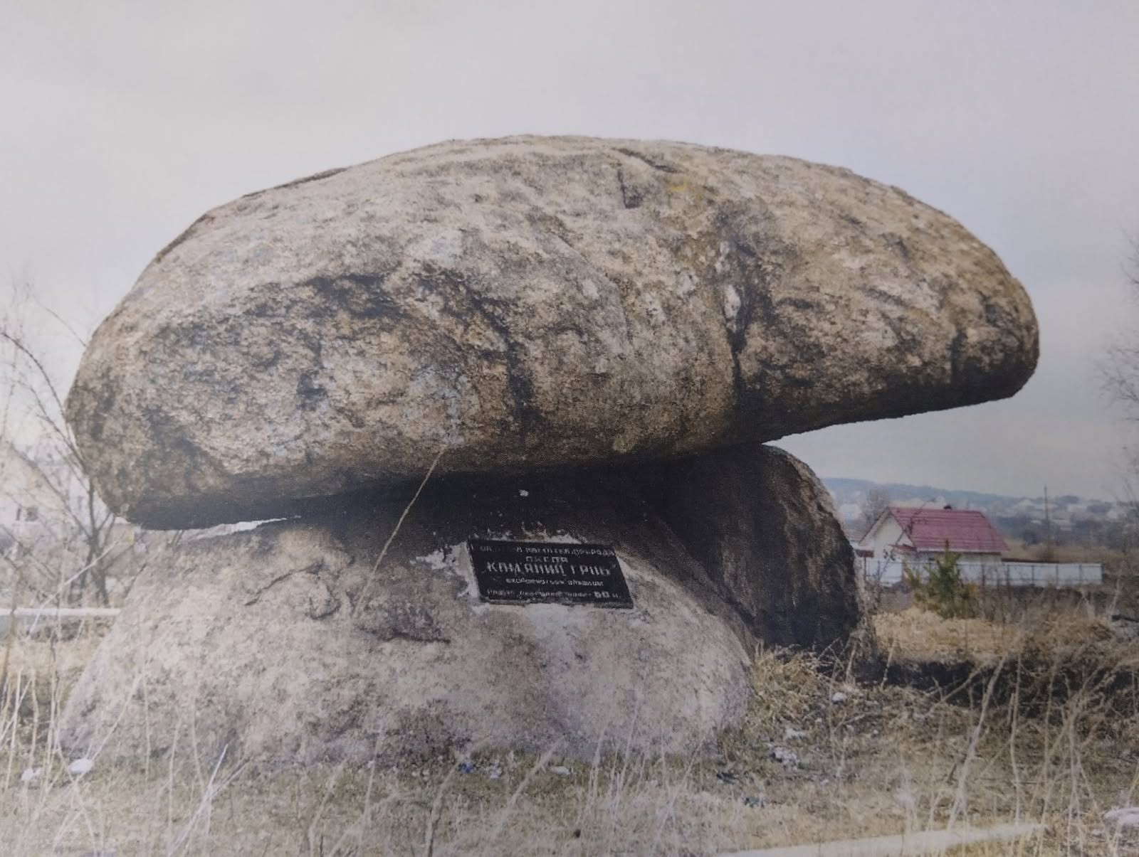 Освітні заходи туристичного центру: день пам’яті та пізнання історії міста