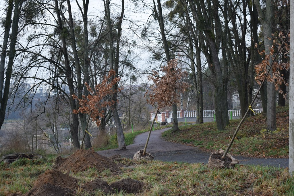 “Алея роздумів”: звягелянин втілив мрію п’ятирічної давнини