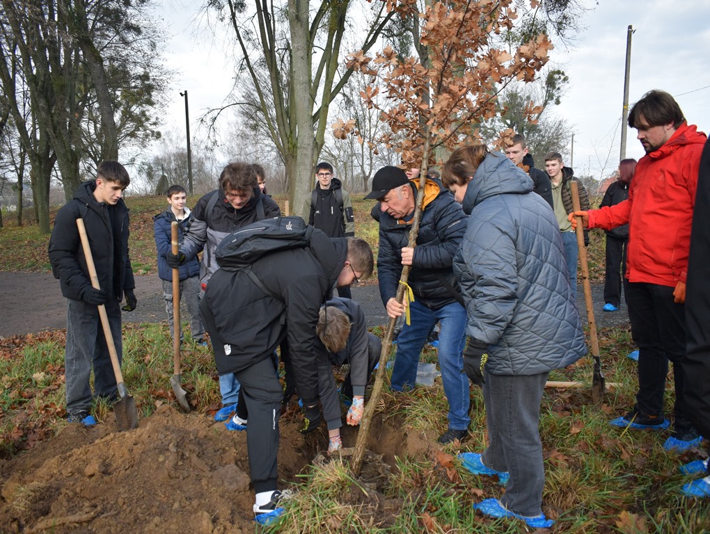 “Алея роздумів”: звягелянин втілив мрію п’ятирічної давнини