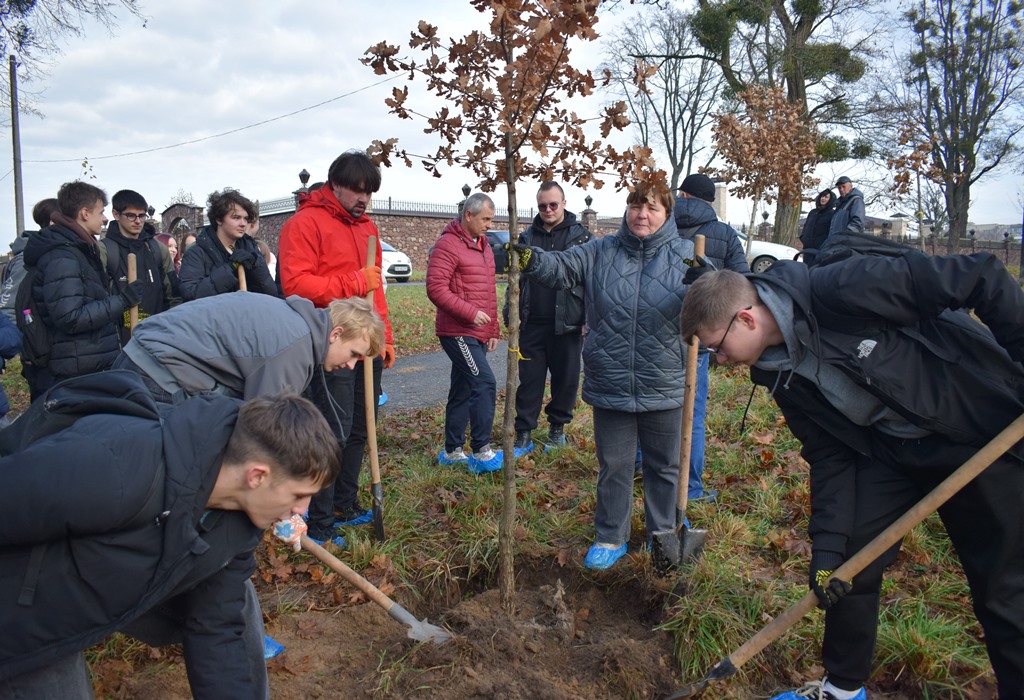 “Алея роздумів”: звягелянин втілив мрію п’ятирічної давнини