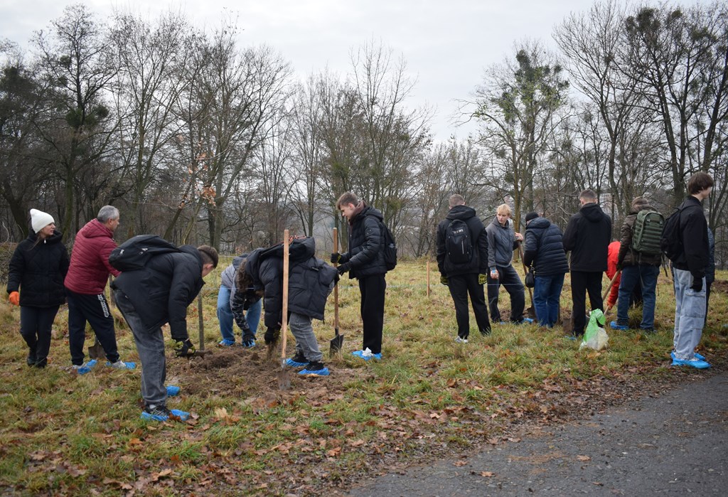 “Алея роздумів”: звягелянин втілив мрію п’ятирічної давнини