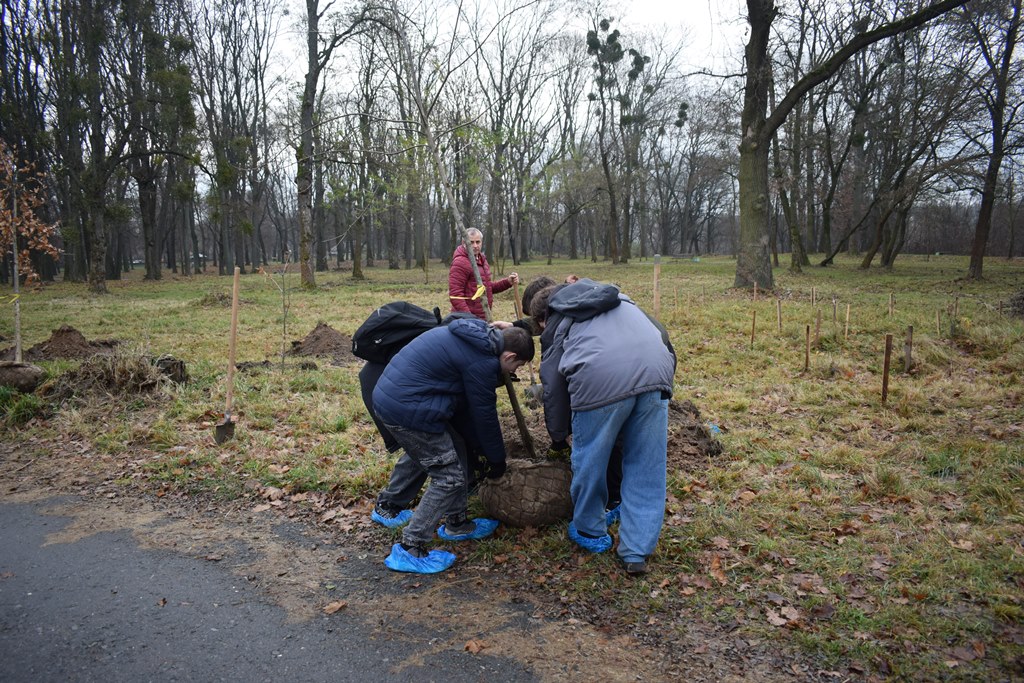 “Алея роздумів”: звягелянин втілив мрію п’ятирічної давнини