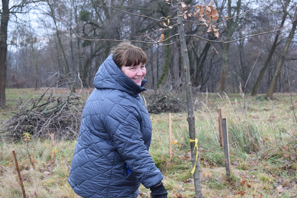 “Алея роздумів”: звягелянин втілив мрію п’ятирічної давнини