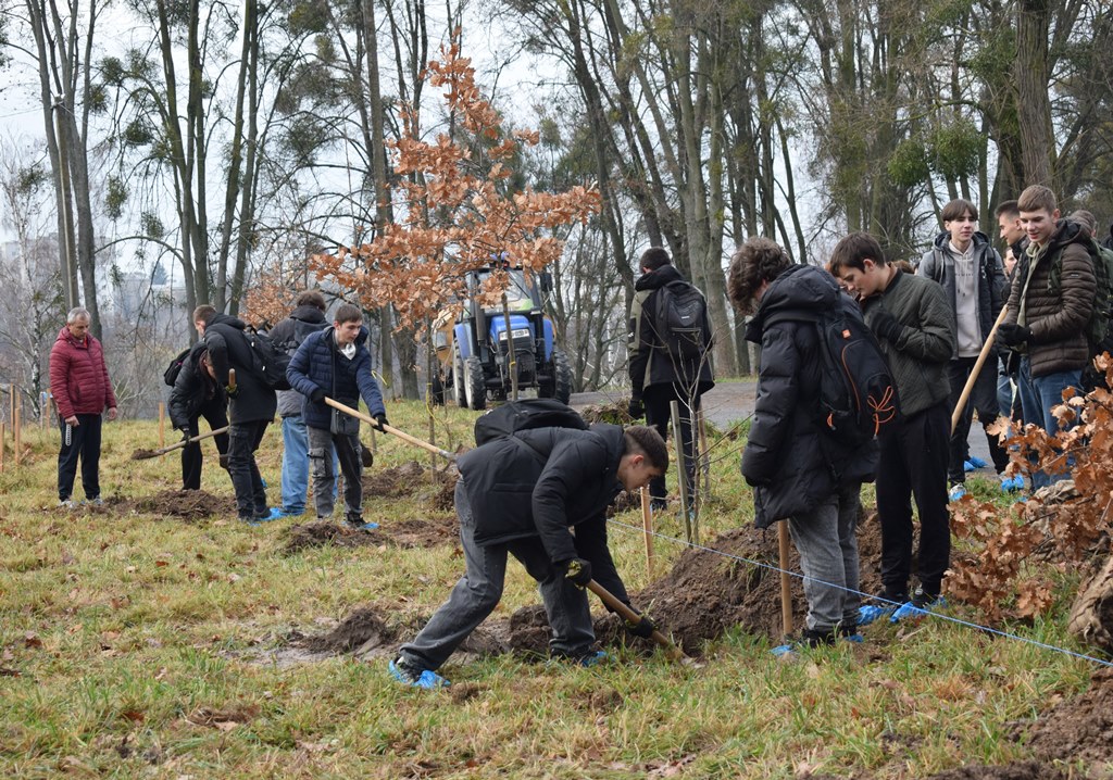 “Алея роздумів”: звягелянин втілив мрію п’ятирічної давнини