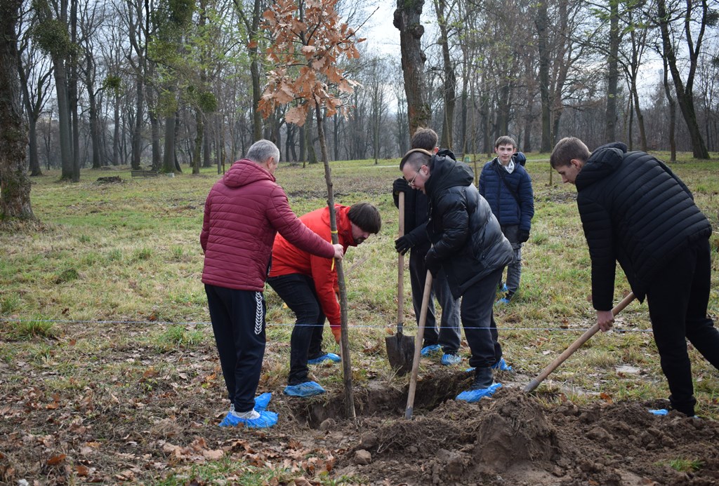 “Алея роздумів”: звягелянин втілив мрію п’ятирічної давнини