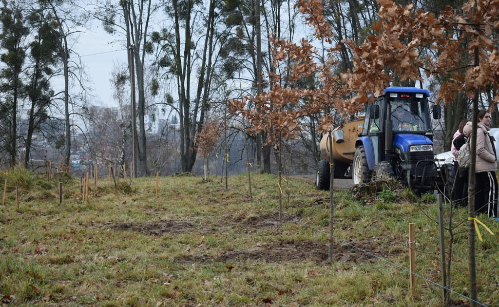 “Алея роздумів”: звягелянин втілив мрію п’ятирічної давнини