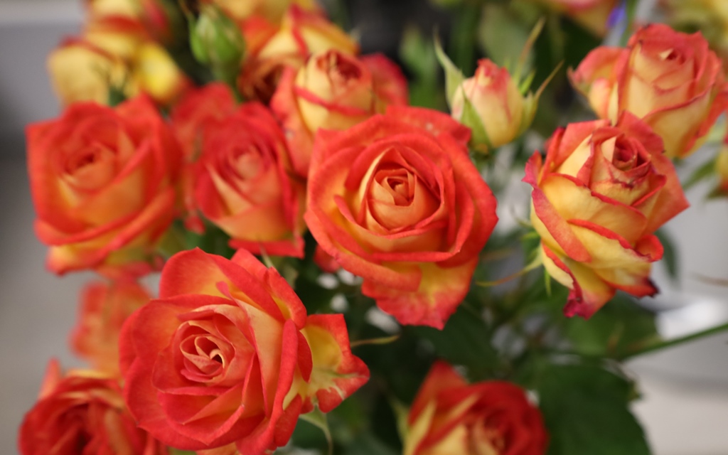 У Звягелі відбувся IV Волонтерський форум «Звягельський тил: разом до перемоги!»