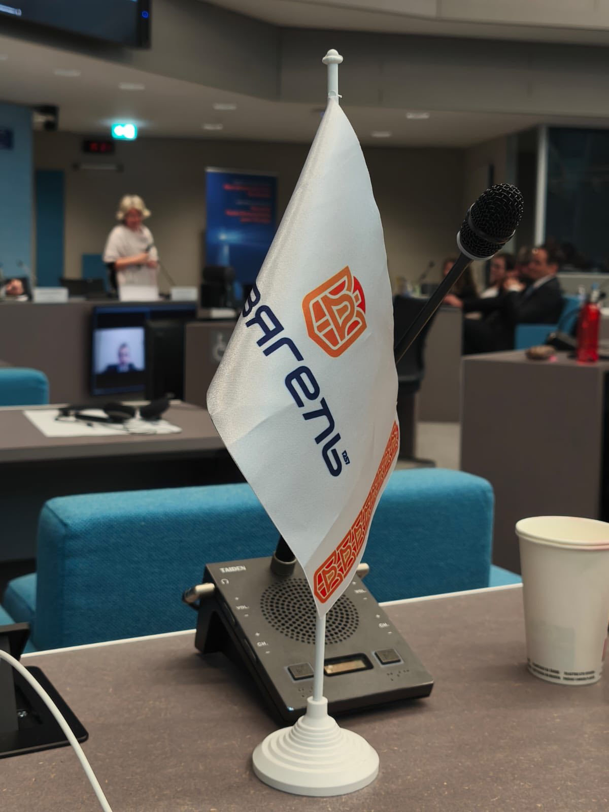 Оксана Гвозденко представила досвід Звягеля на європейській конференції у Страсбурзі