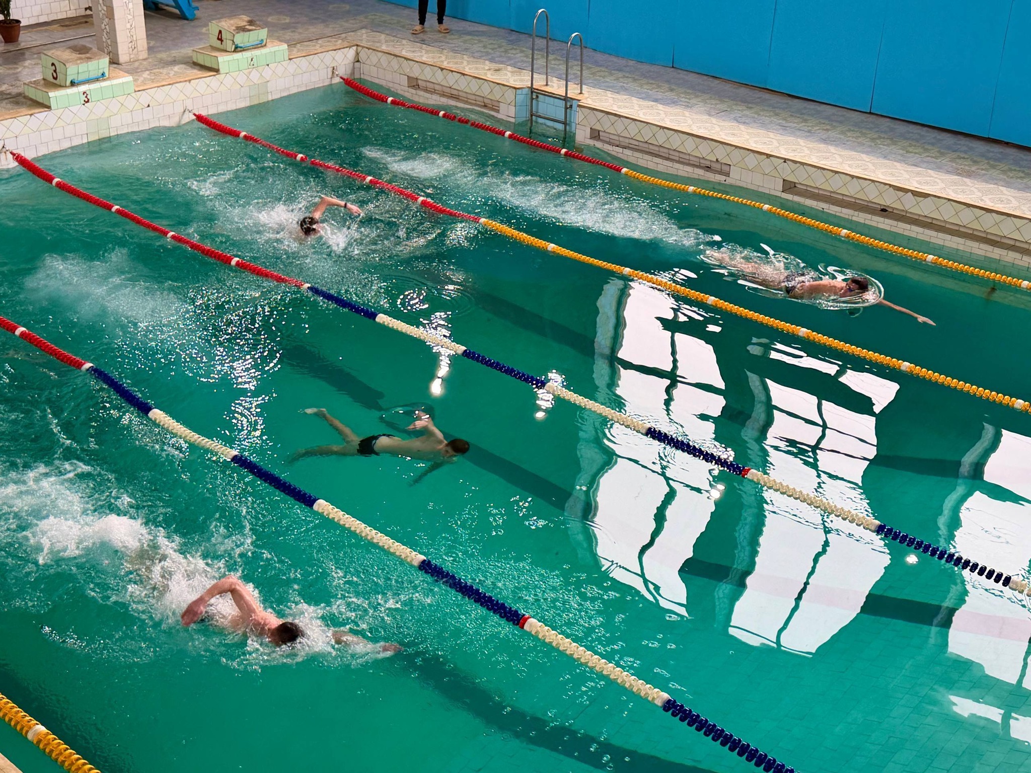 Змагання Студентської ліги з плавання, присвячені 155-річчю від дня народження Лесі Українки