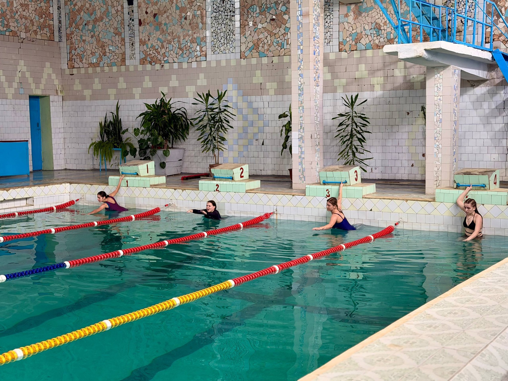 Змагання Студентської ліги з плавання, присвячені 155-річчю від дня народження Лесі Українки