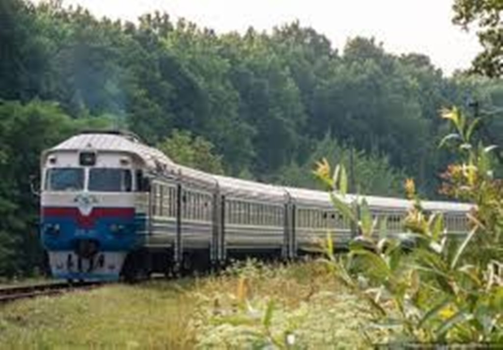 Про недопущення самовільних рубок у захисних лісонасадженнях залізниці