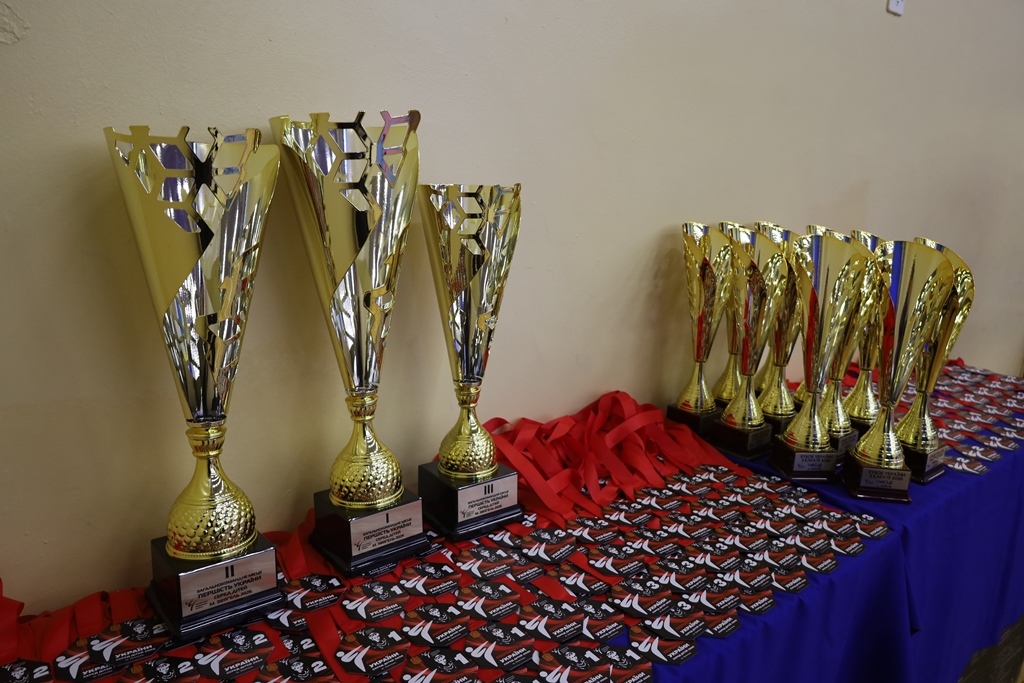 У Звягелі вперше відбулися офіційні всеукраїнські змагання з карате