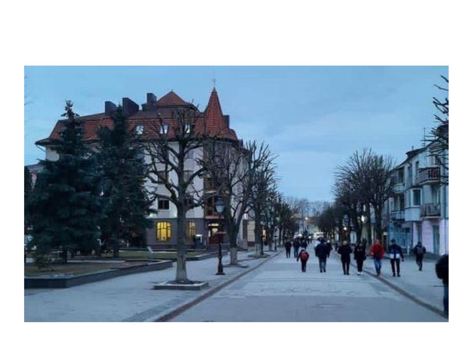 Про недопущення шкідливого обрізання дерев у громаді