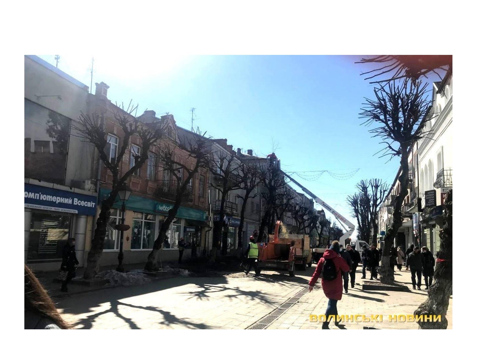 Про недопущення шкідливого обрізання дерев у громаді