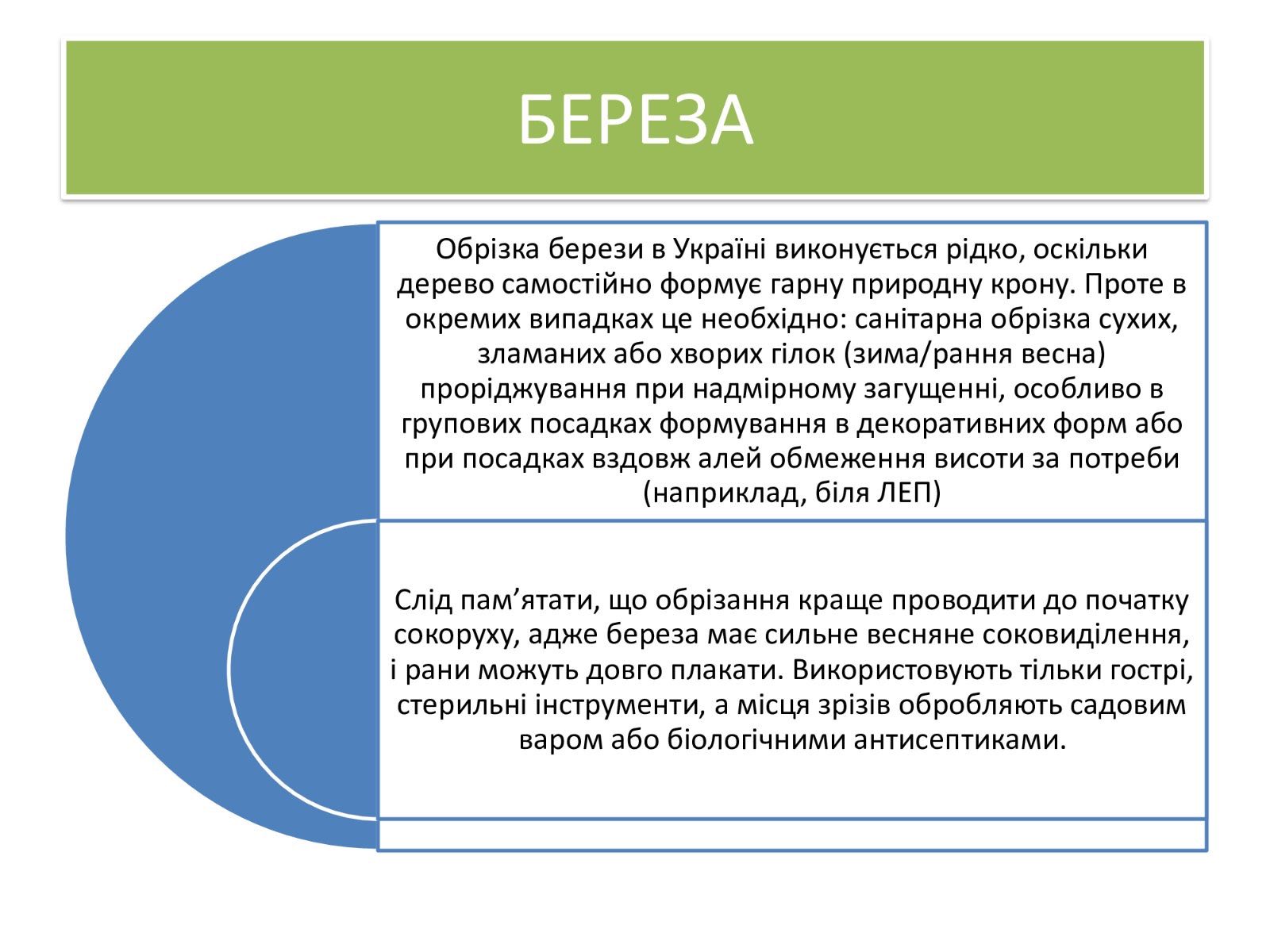Про недопущення шкідливого обрізання дерев у громаді