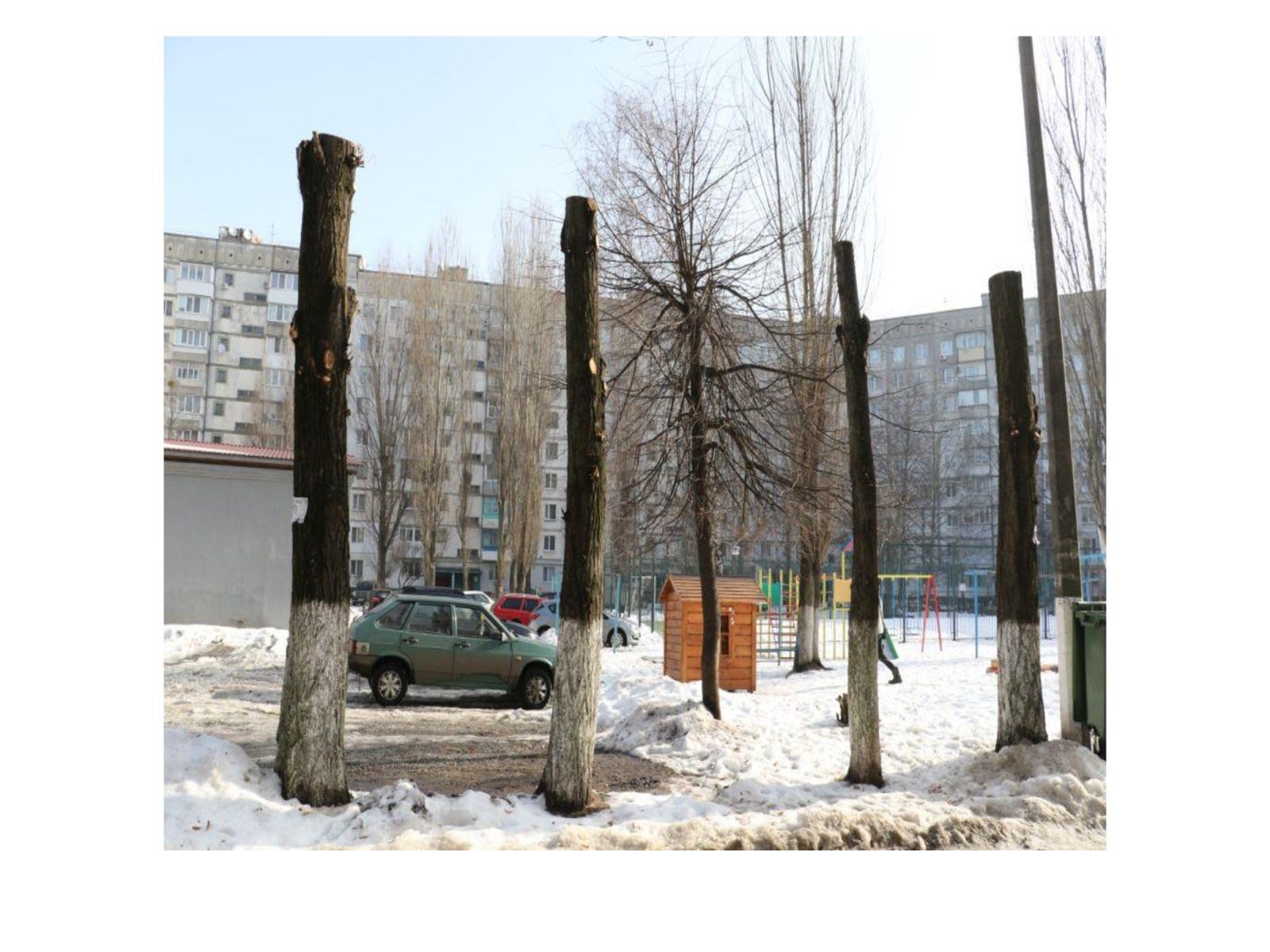 Про недопущення шкідливого обрізання дерев у громаді