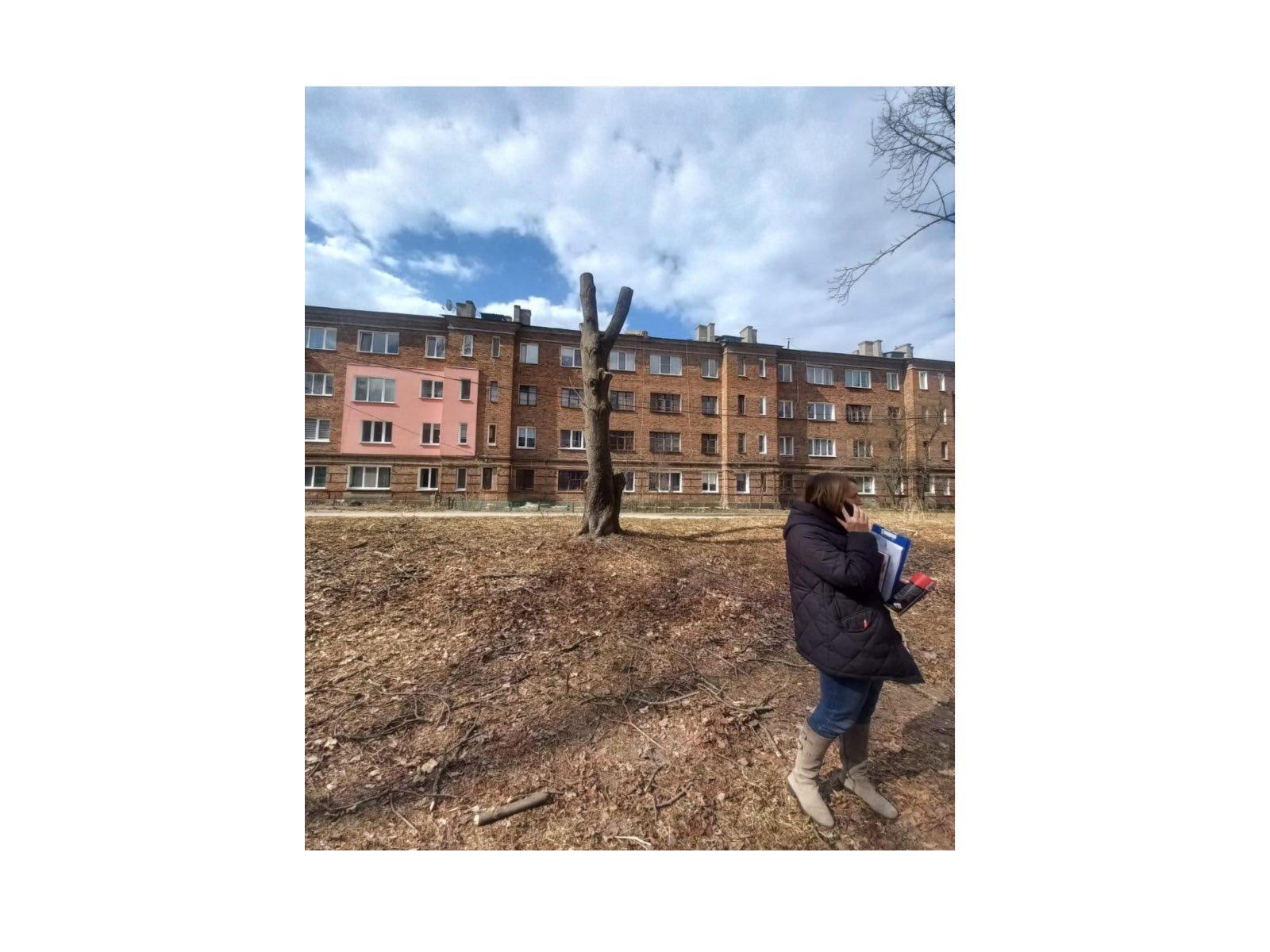 Про недопущення шкідливого обрізання дерев у громаді