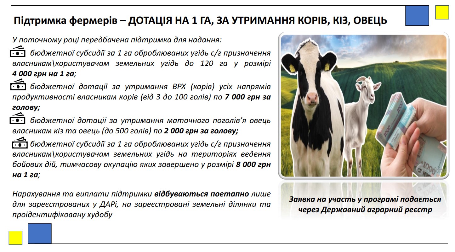 Державні програми підтримки підприємництва та агропромислового комплексу у 2026 році