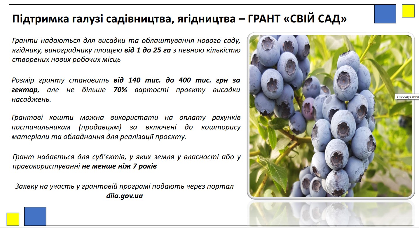 Державні програми підтримки підприємництва та агропромислового комплексу у 2026 році