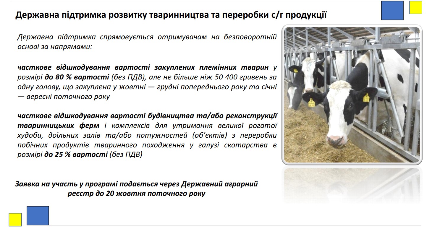 Державні програми підтримки підприємництва та агропромислового комплексу у 2026 році