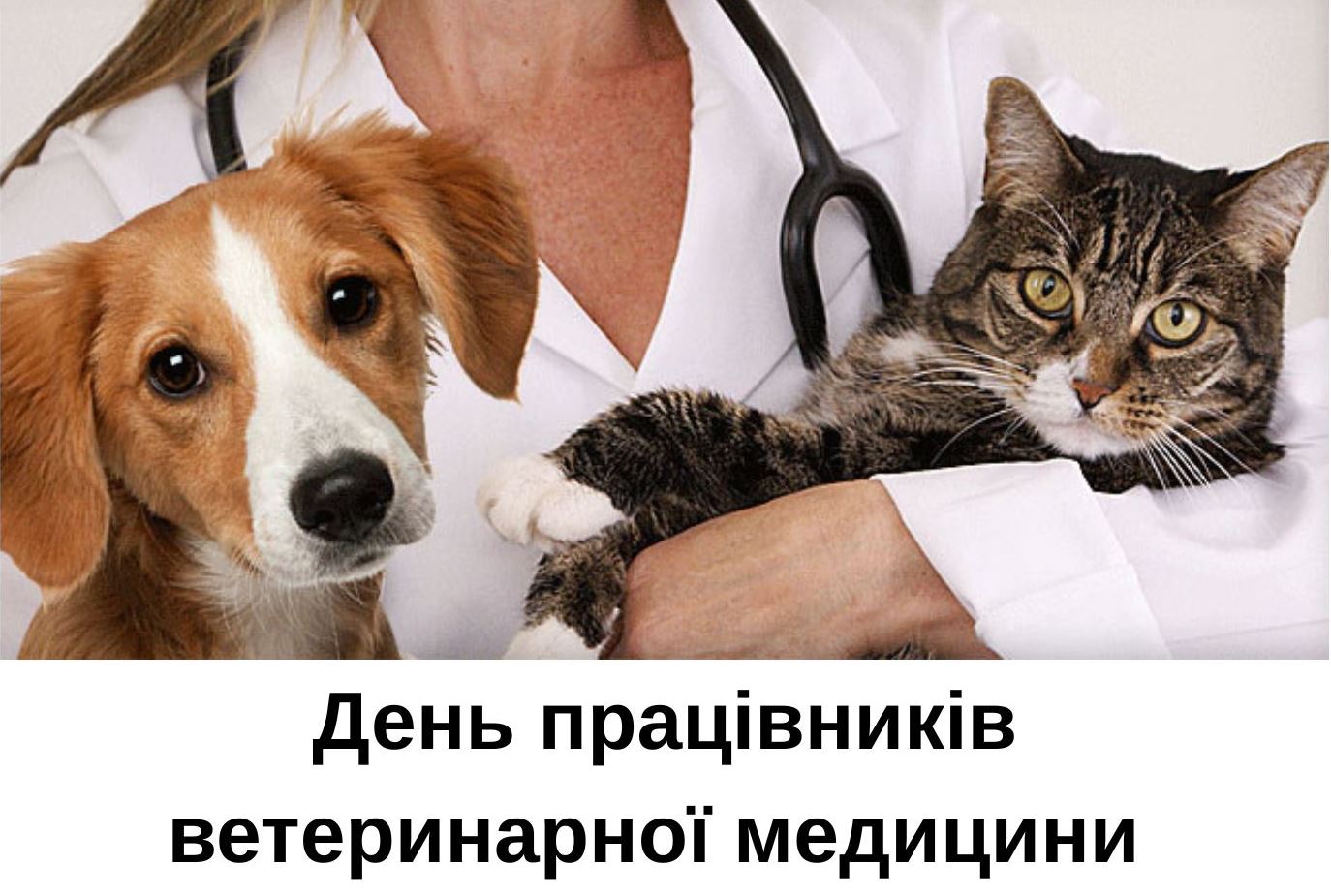 9 серпня – День працівників ветеринарної медицини
