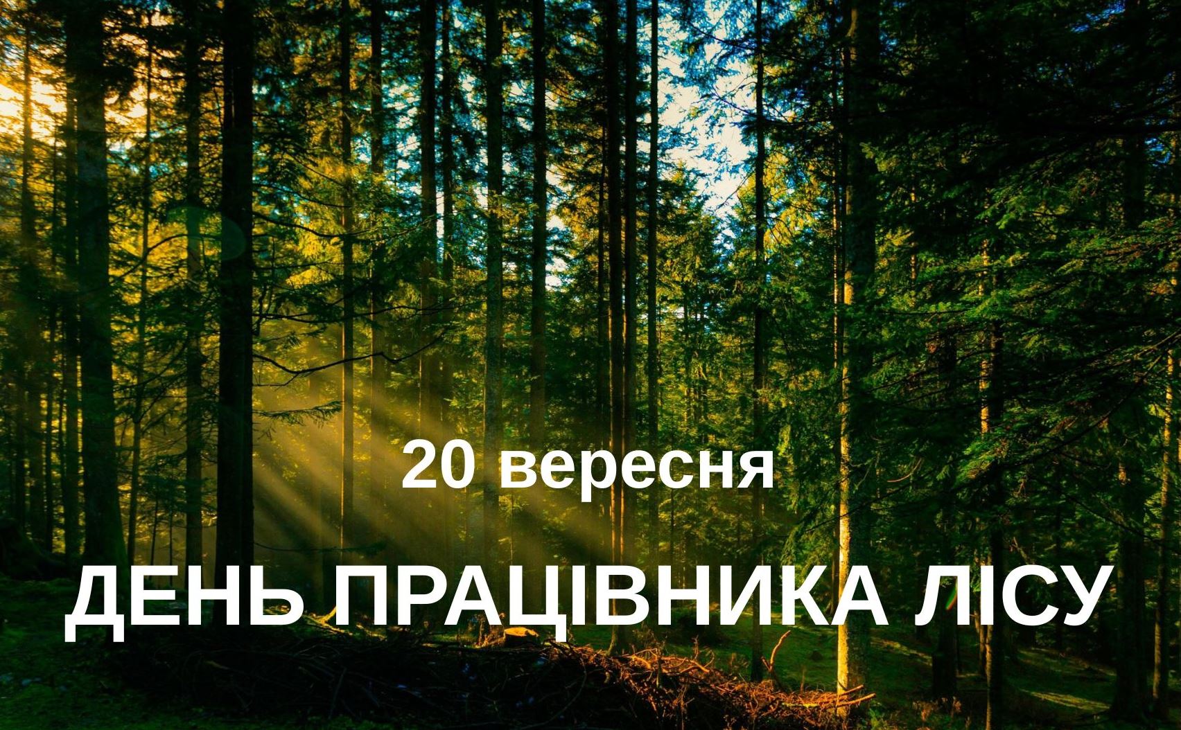 20 вересня – День працівника лісу