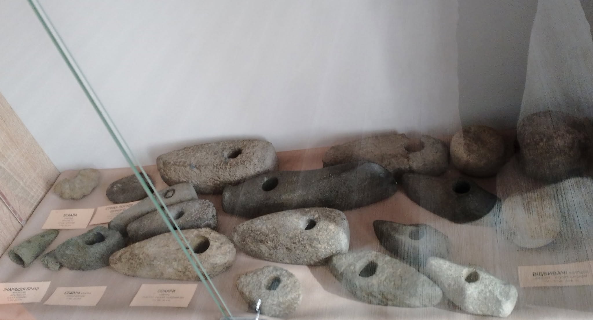 Знайомство з музеями: пізнавальні квест-екскурсії для школярів